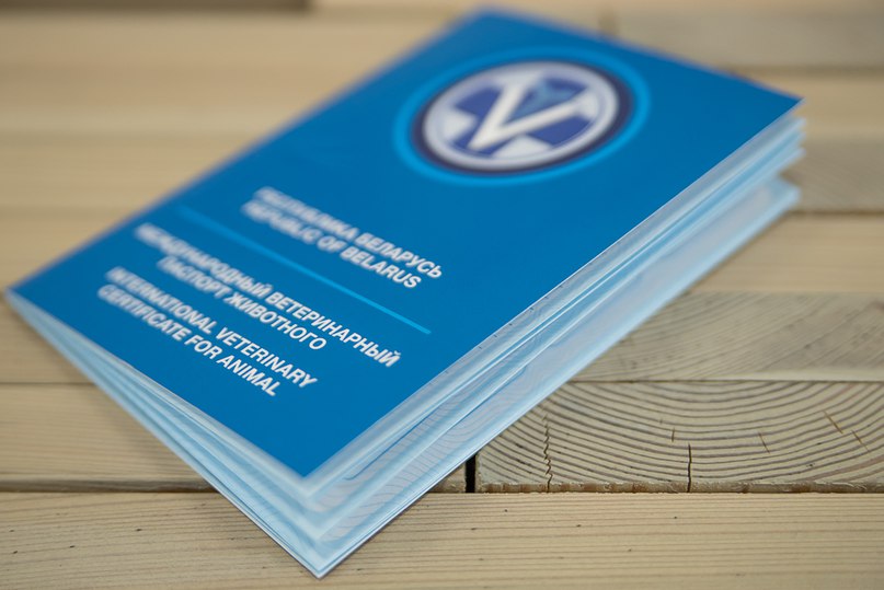 mezhdunarodnyj-veterinarnyj-pasport-zhivotnogo Как подготовиться к поездке за границу с питомцем?