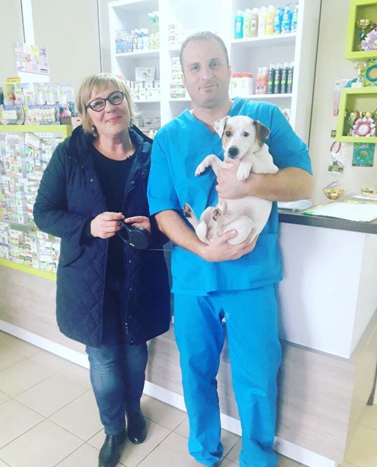 veterinarnyj-vrach-sohaib-salati-o-displazii-tazobedrennyh-sustavov Ветврач филиала Новополоцк о дисплазии тазобедренных суставов у собак