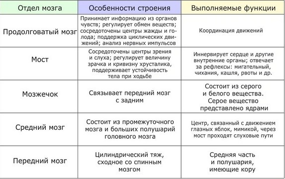 gzmy2UuV-TA МРТ головы и головного мозга