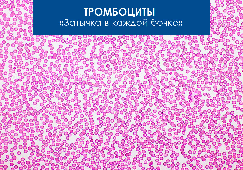 Тромбоциты