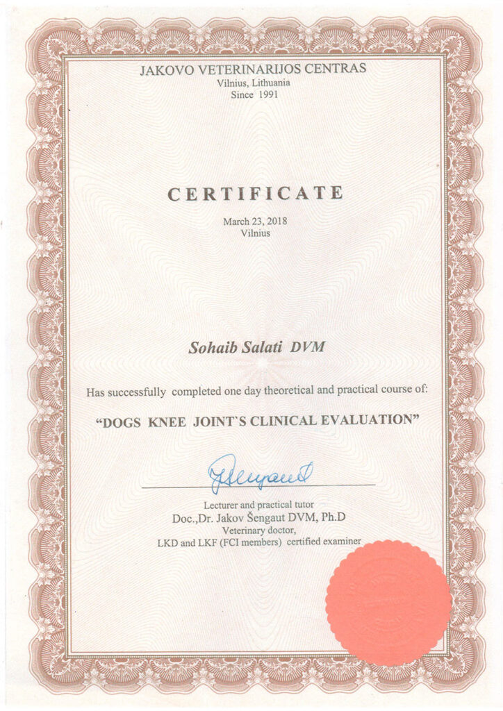 dogs-knee-joint-clinical-salati-724x1024 Салати Сохаиб