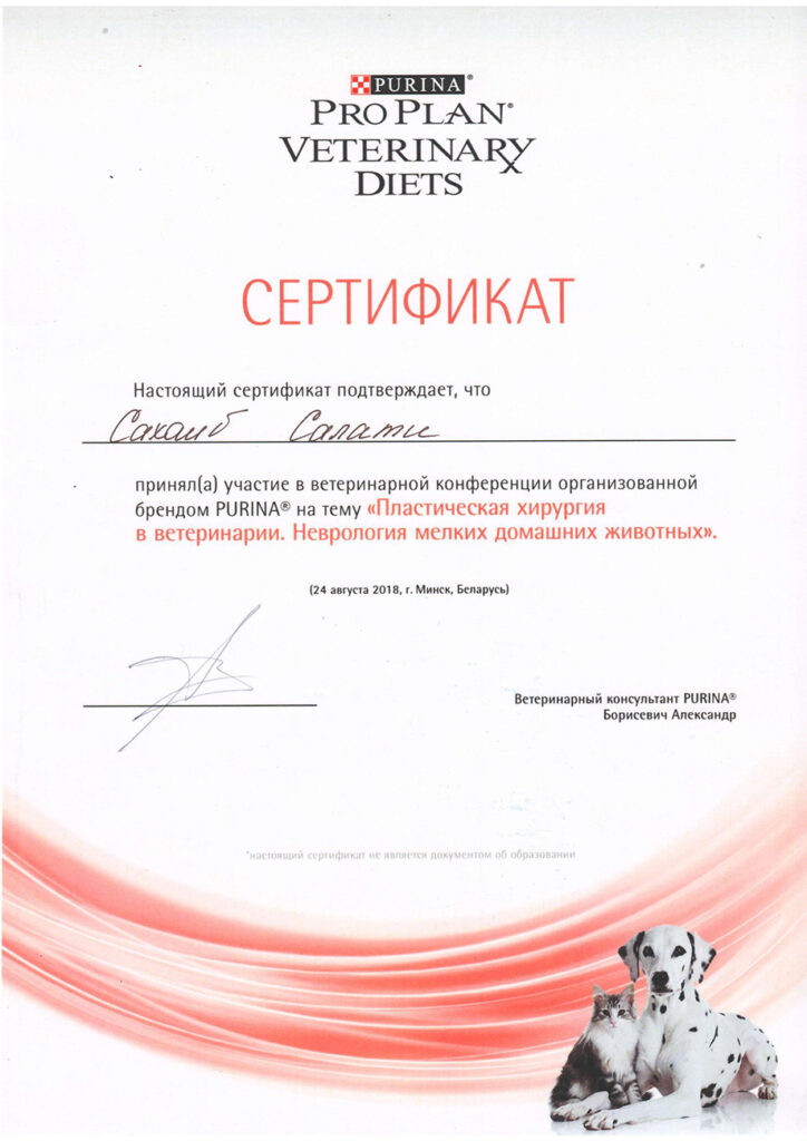 plasticheskaya-hirurgiya-v-veterinarii-salati-724x1024 Салати Сохаиб