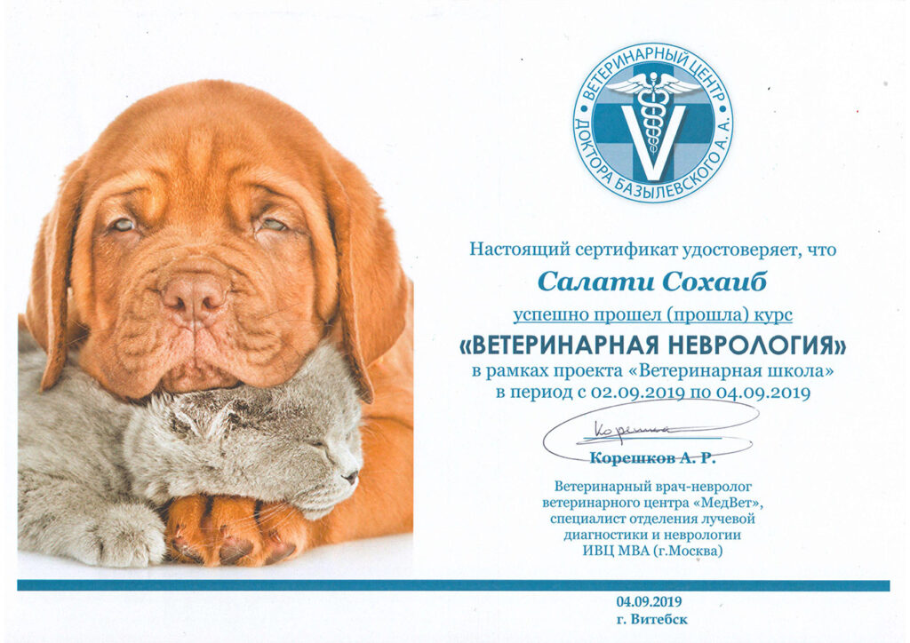 veterinarnaya-nevrologiya-salati-1024x724 Салати Сохаиб