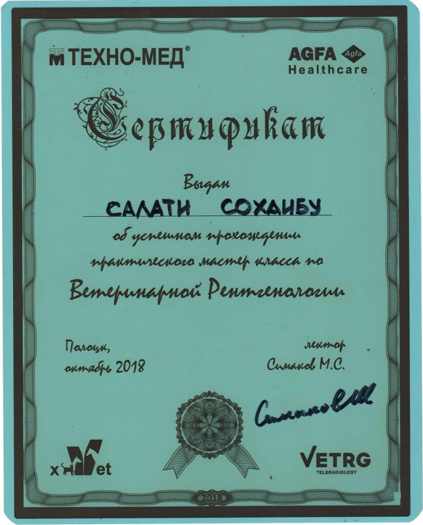 veterinarnaya-rentgenologiya-salati-824x1024 Салати Сохаиб