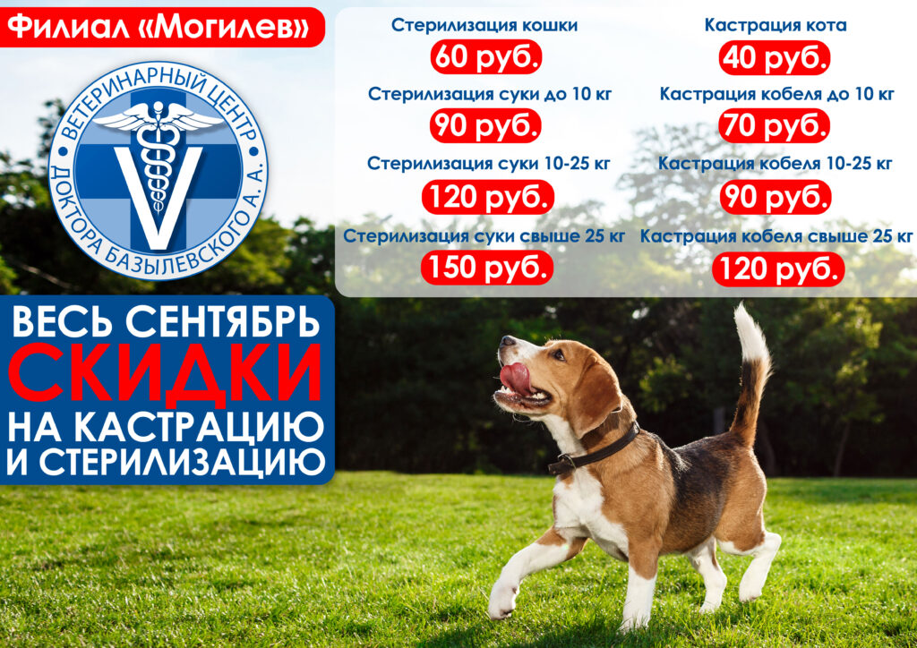 33-1024x724 МОГИЛЁВ! СКИДКА НА КАСТРАЦИЮ И СТЕРИЛИЗАЦИЮ