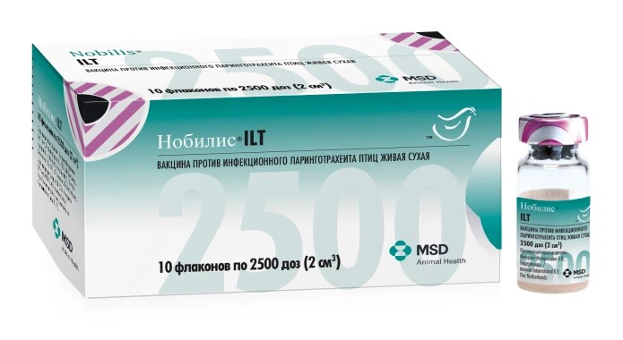 ilt-1 Нобилис® ILT (Nobilis® ILT)