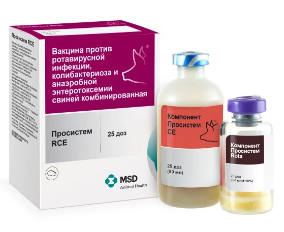 rce Просистем RCE (ProSystem RCE)