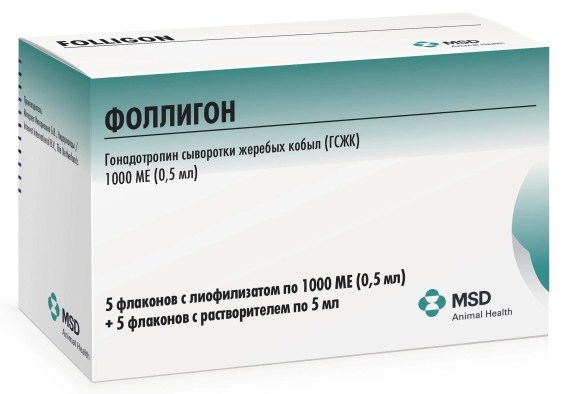 Фоллигон (Folligon)