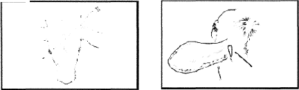image Эксид