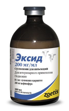 Эксид