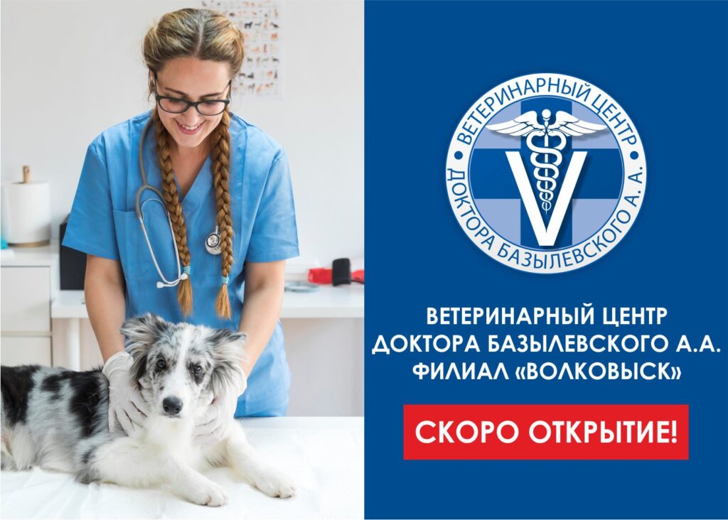 VOLKOVYSK-1024x732 Скоро открытие филиала в Волковыске!