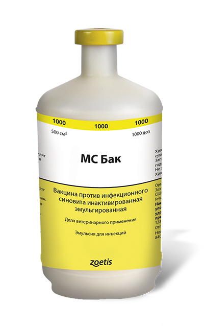 ms-bac МС Бак
