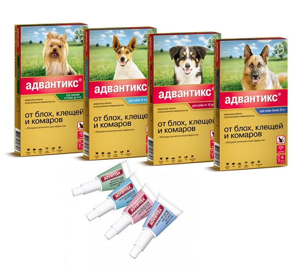advantix Адвантикс для собак