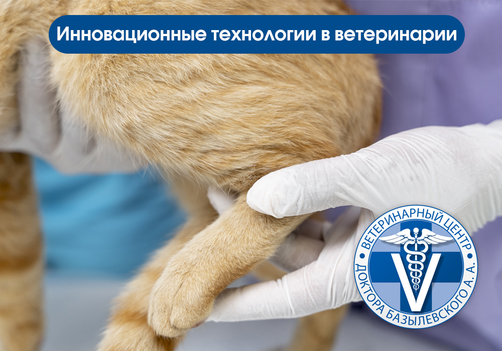 Инновационные технологии в ветеринарии
