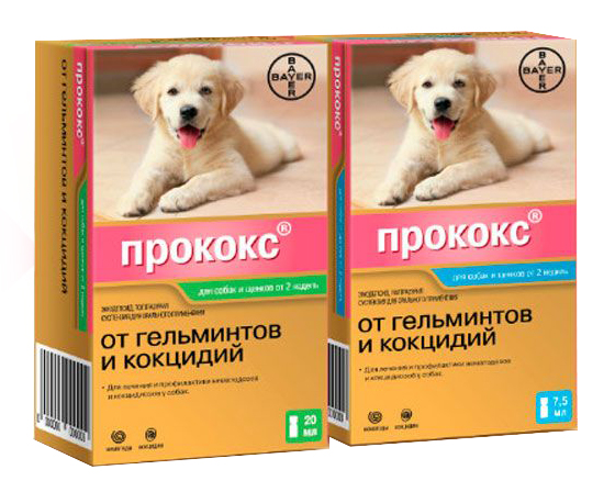 Прококс