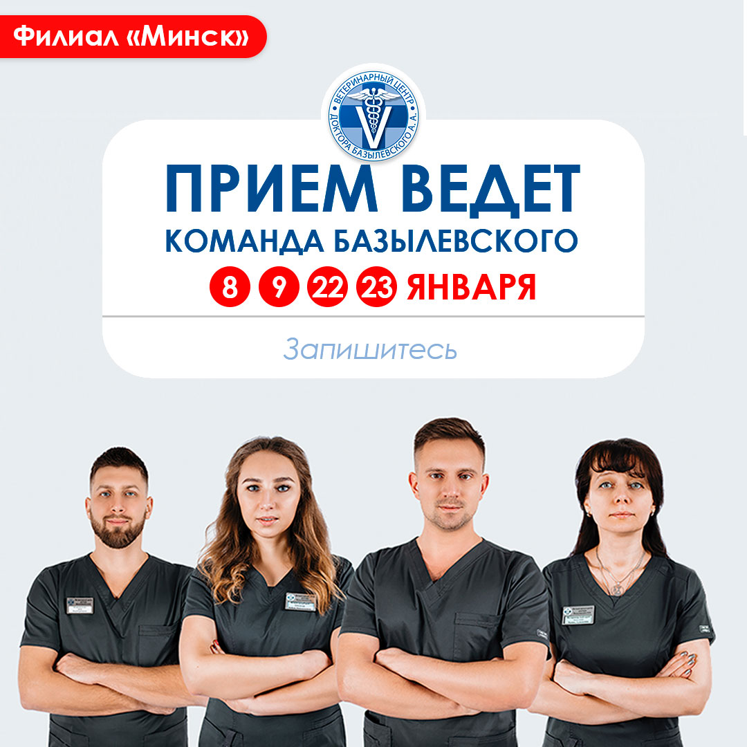 КОМАНДА БАЗЫЛЕВСКОГО В МИНСКЕ