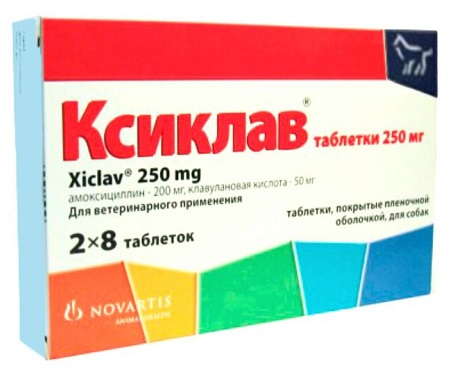 xiclav_250 Ксиклав