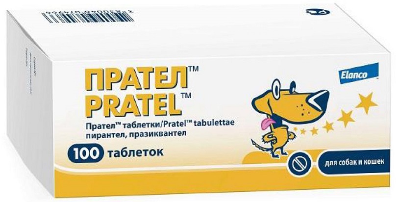 Прател