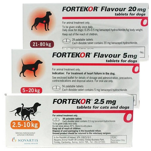 fortecor Фортекор