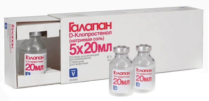 Галапан