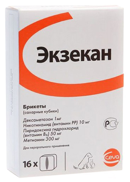  Экзекан