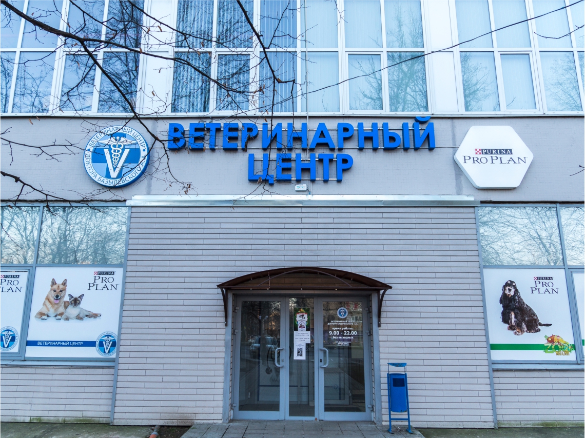 mogilev Контакты
