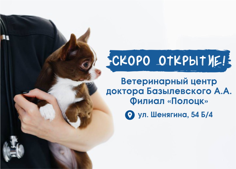 skoro-otkrytie-filiala-v-polocke Скоро открытие филиала в Полоцке!