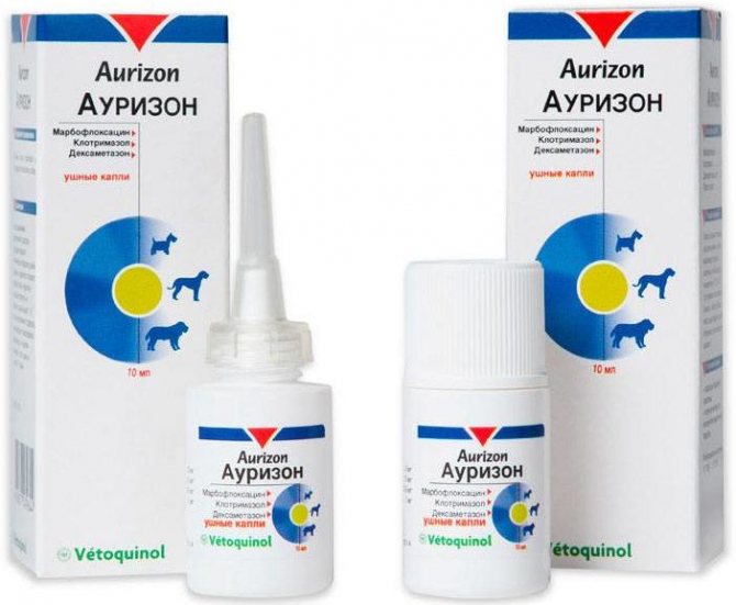Ауризон