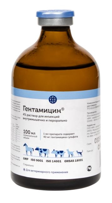 gentamicin Гентамицин 4% раствор для инъекций