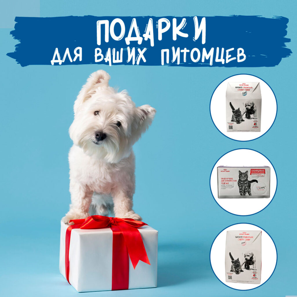 podarochnyy-nabor-kazhdomu-klientu-1024x1024 ПОДАРОЧНЫЙ НАБОР КАЖДОМУ КЛИЕНТУ