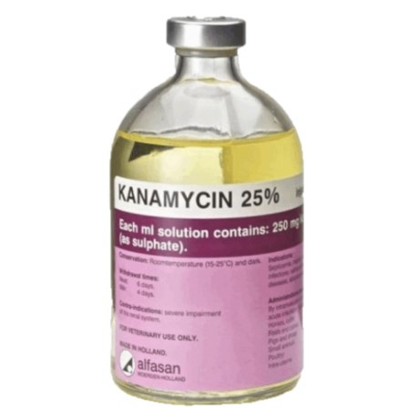 KANAMITSIN Канамицин 25% р-р для инъекций Alfasan
