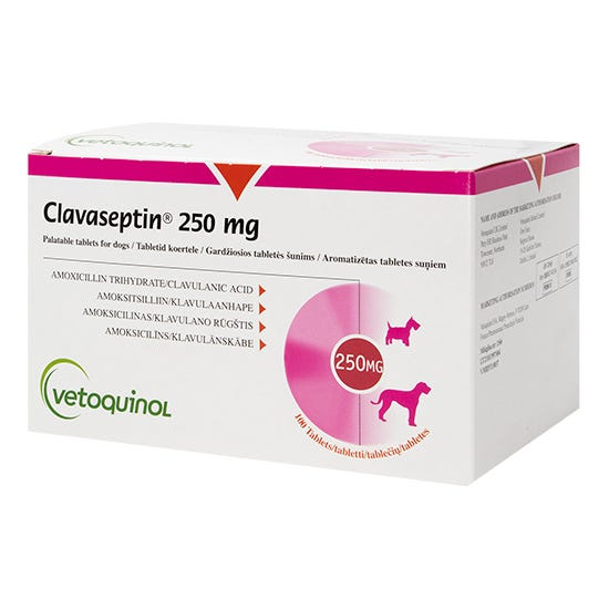 klavaseptin-250 Клавасептин 250