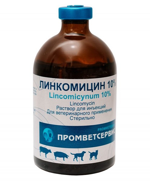 linkomiczin10-promvetservis Линкомицин 10% раствор для инъекций Промветсервис