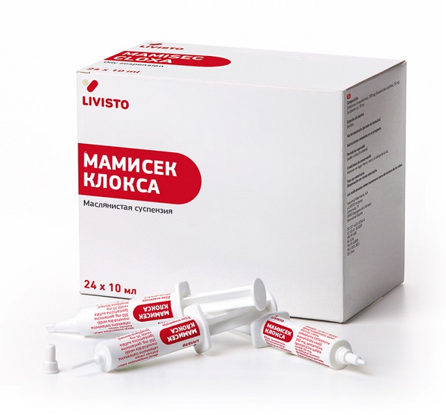 mamisek_kloksa Мамисек Клокса Суспензия для интрацистернального введения Livisto-Invesa