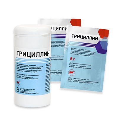tricillin_poroshok Трициллин Асконт+