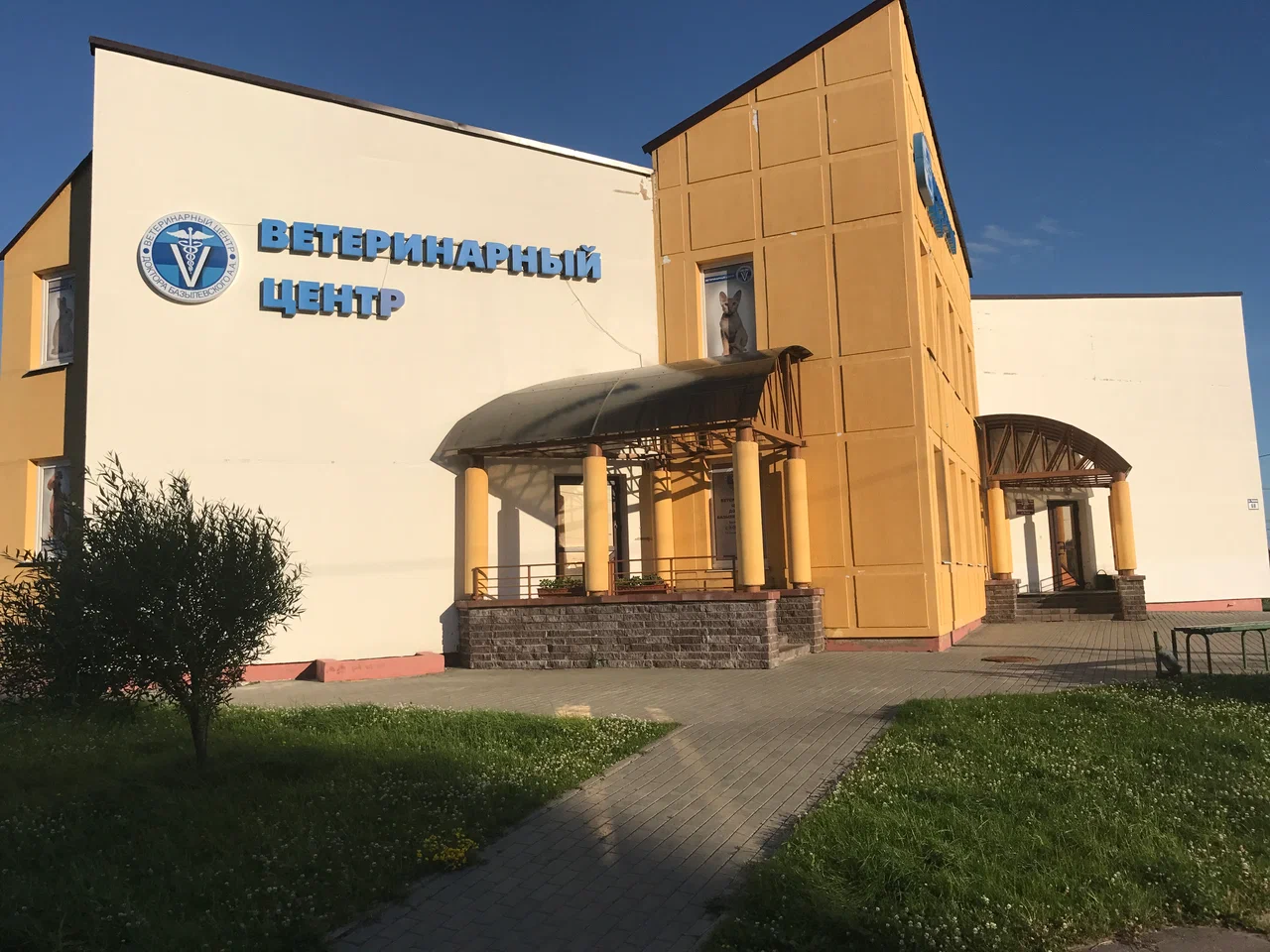 XXXL Контакты