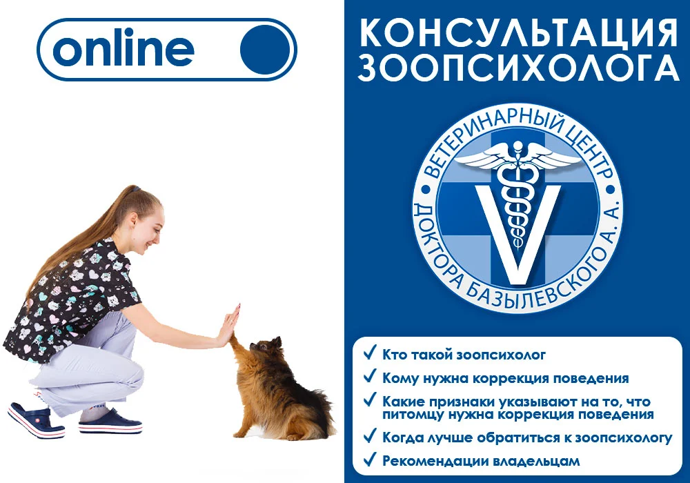 intervyu-s-zoopsihologom Интервью с зоопсихологом