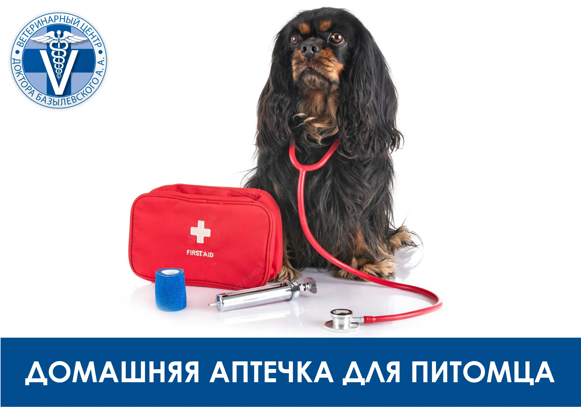 собака и аптечка