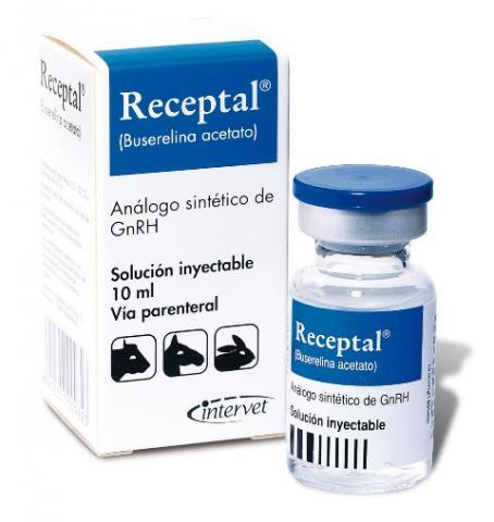 Receptal Рецептал MSD