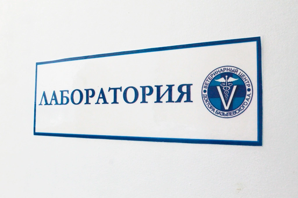 laboratoriya Общая информация по лабораторной диагностике