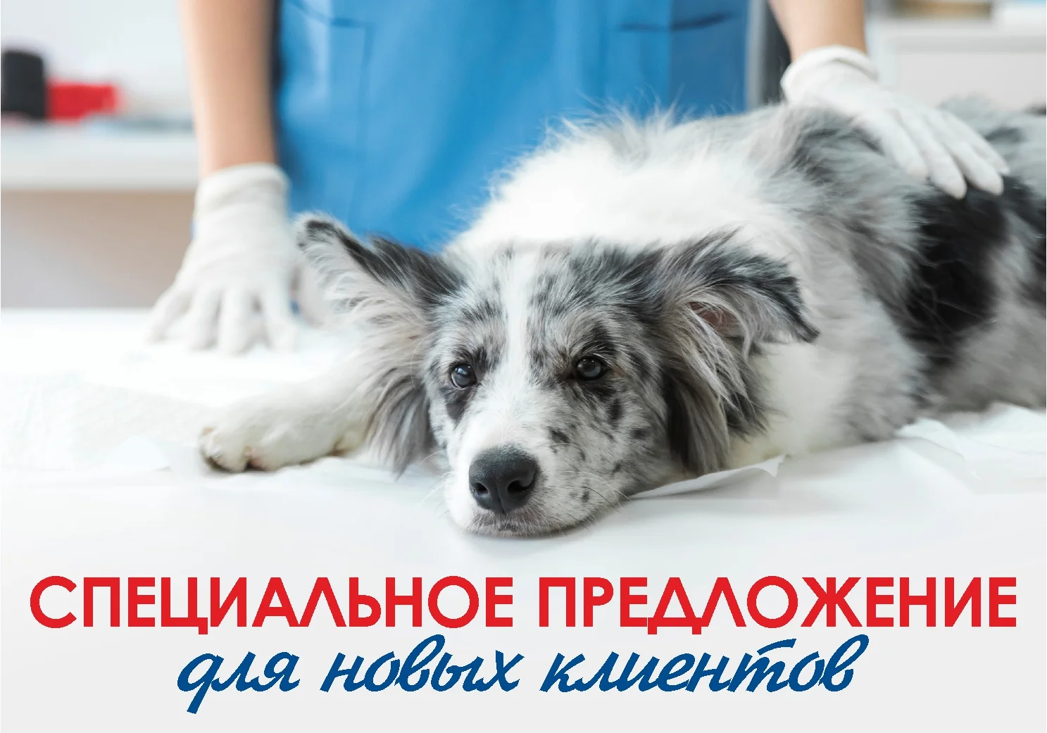 Специальное предложение для новых клиентов