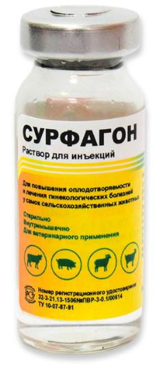 surfagonaskont Сурфагон АСКОНТ+