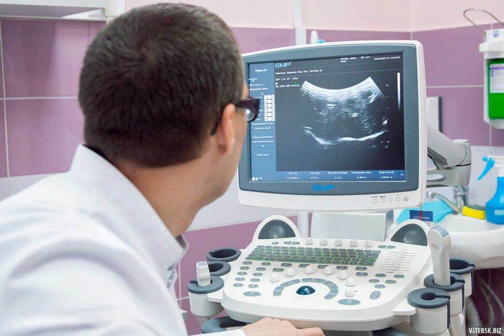 veterinarnyy-vrach-provodit-uzi УЗ-исследование мягких тканей