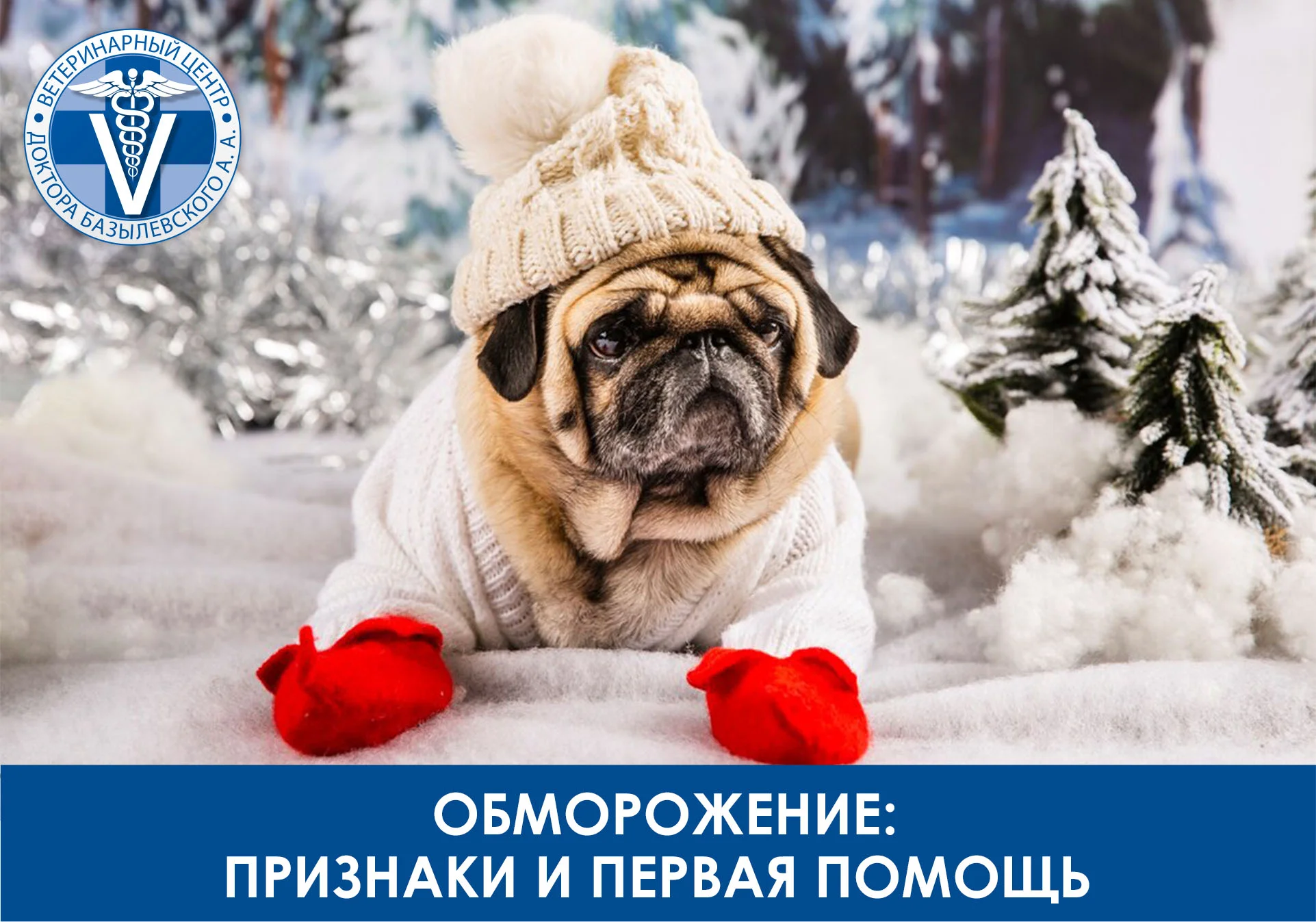 Обморожение: признаки и первая помощь