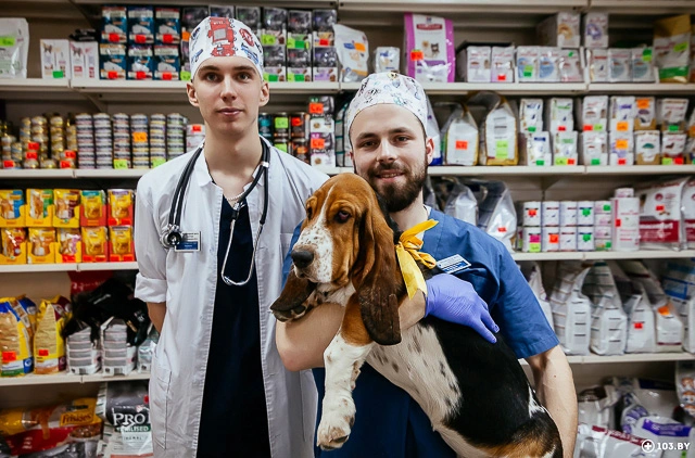 veterinarnyy-vrach-urolog-i-nefrolog Общая информация по урологии и нефрологии