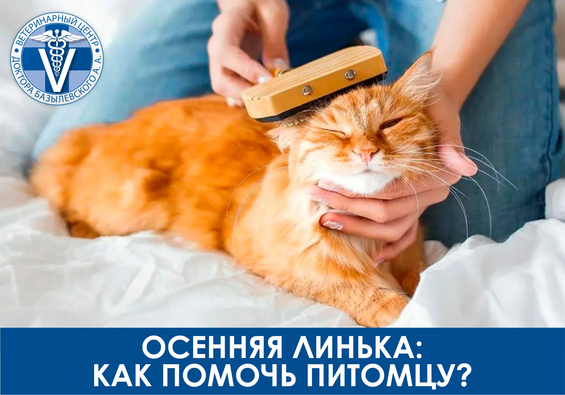 Осенняя линька