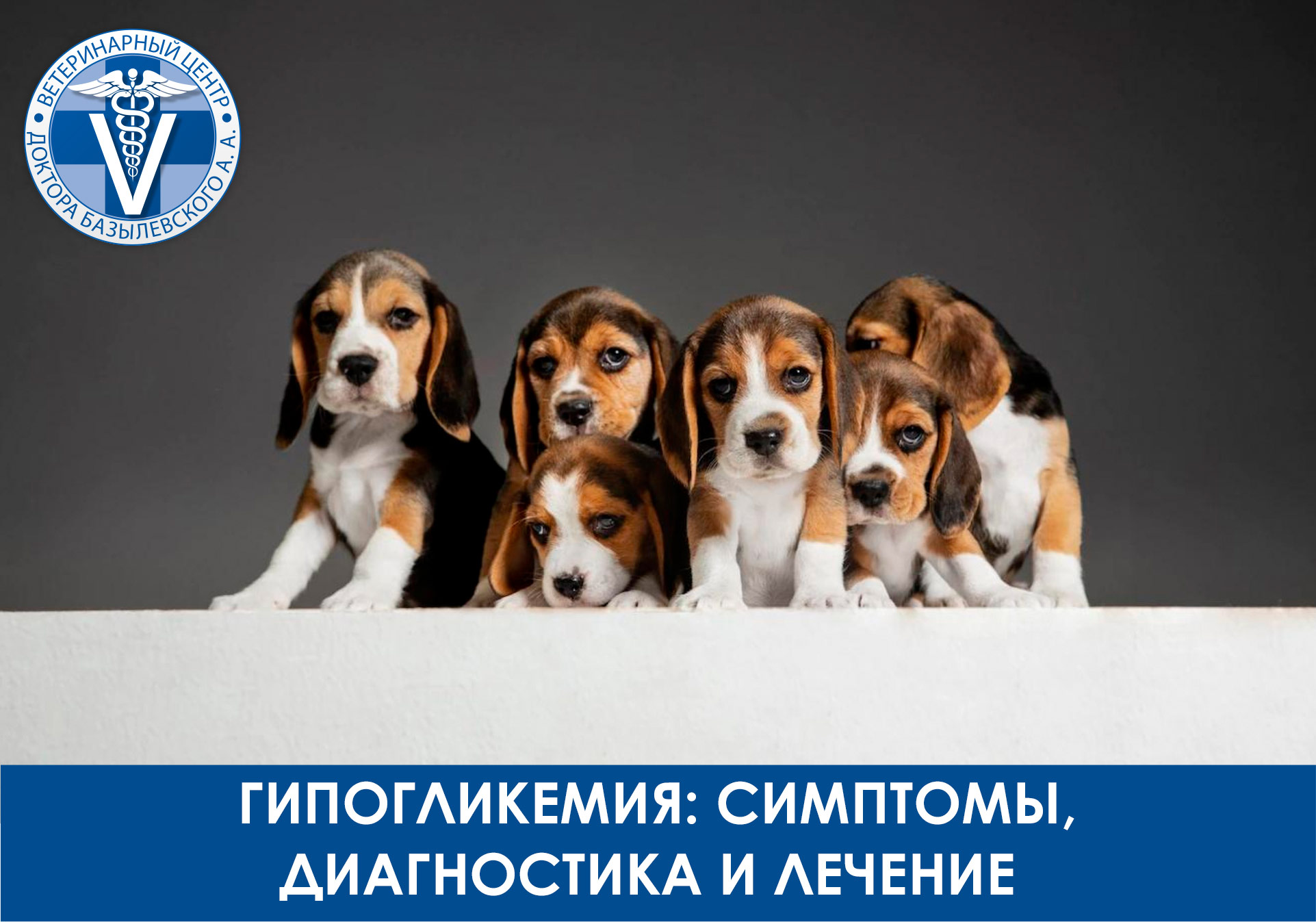 Гипогликемия у животных