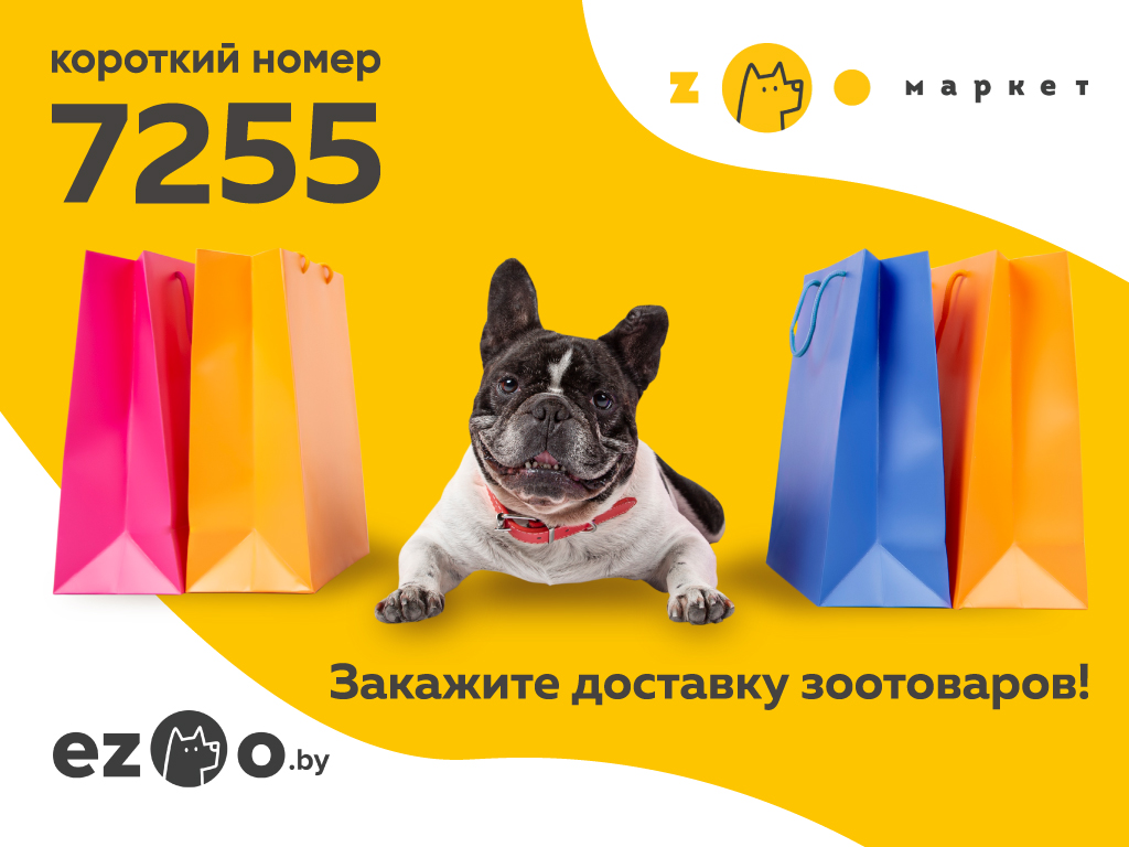 Закажи доставку зоотоваров