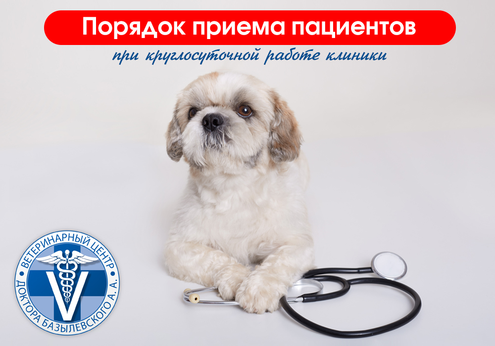 Порядок приема пациентов клиники