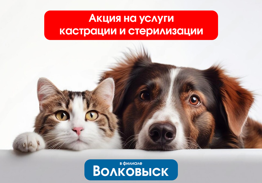Акция на услуги в Волковыске